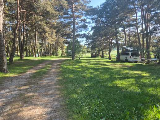 Added a photo to a location