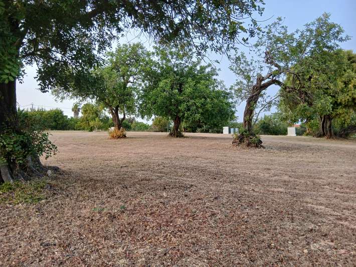Camping Calico Park