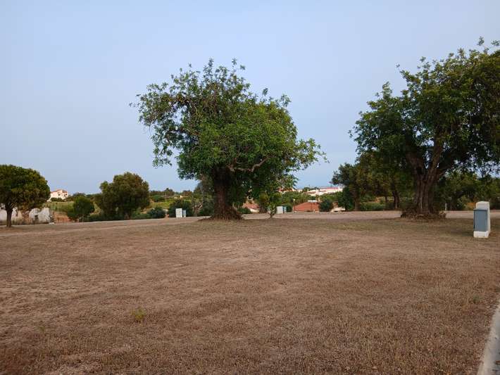 Camping Calico Park