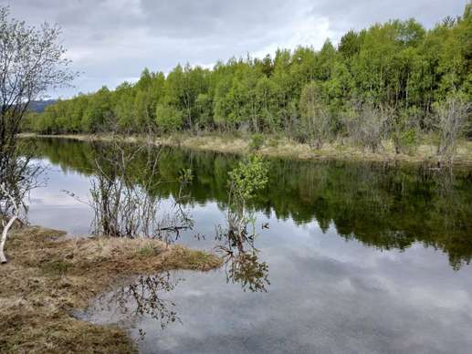 Added a photo to a location