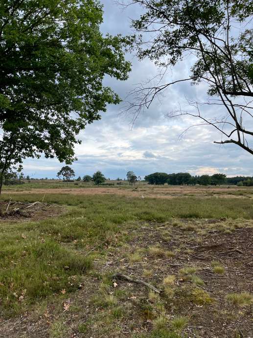 Een foto toegevoegd aan een locatie