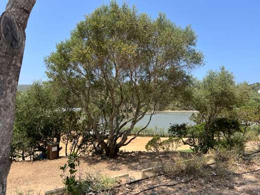 Added a photo to a location