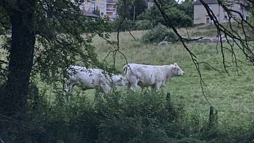 Aggiunta una foto a una posizione