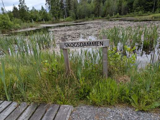 Added a photo to a location