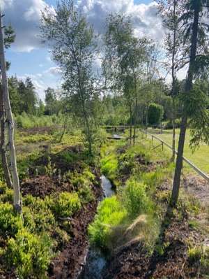 Added a photo to a location