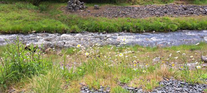 Haggs Bank Bunkhouse and Campsite