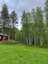 Arctic Hearts Schlittenhunde & Naturcamp