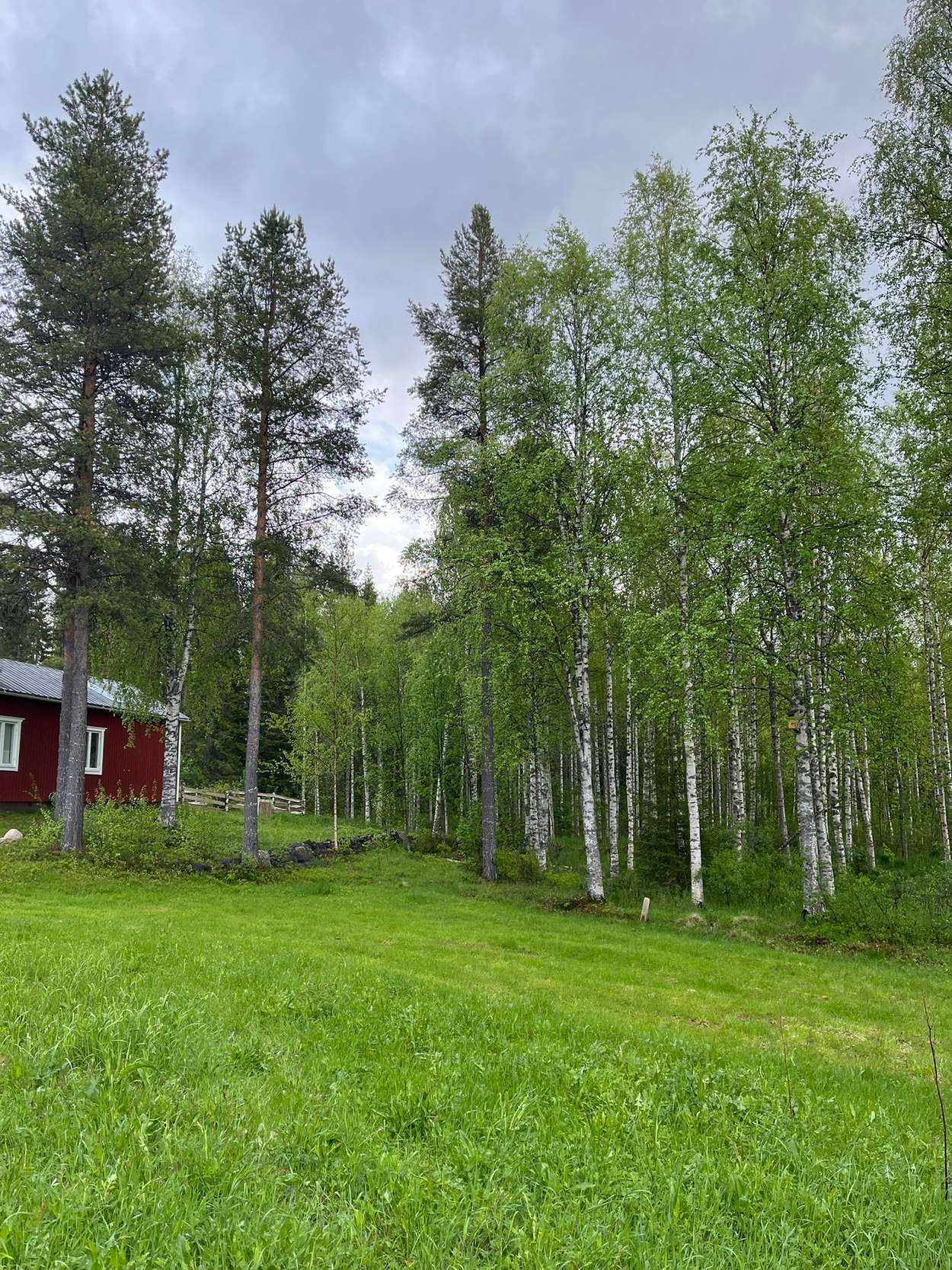Arctic Hearts - Schlittenhunde & Naturcamp