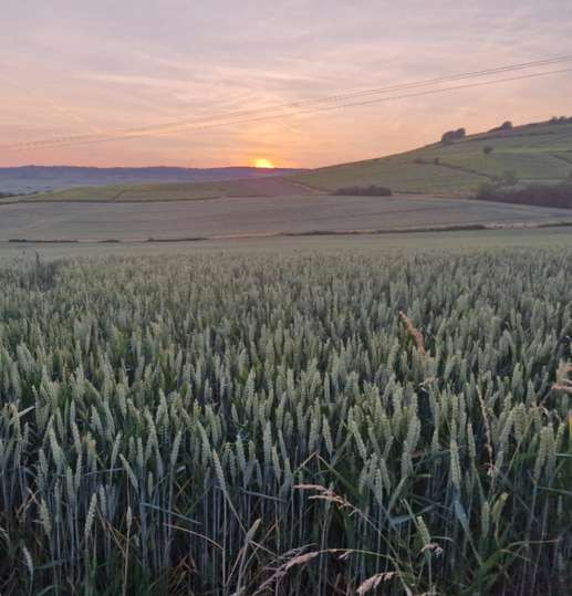 Een foto toegevoegd aan een locatie