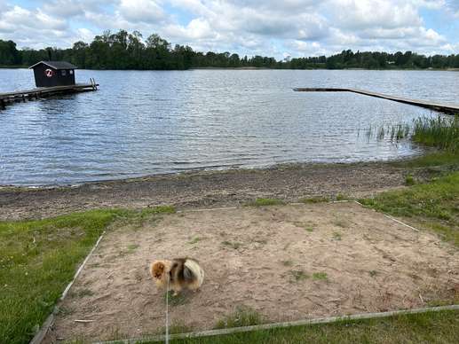 Een foto toegevoegd aan een locatie