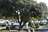Camping Le Domaine de Bernezac