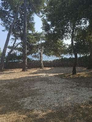 Camp Pineta