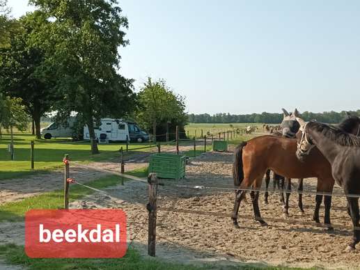 Een foto toegevoegd aan een locatie
