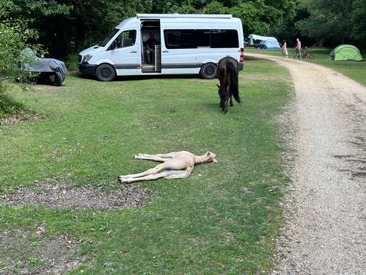 Aggiunta una foto a una posizione