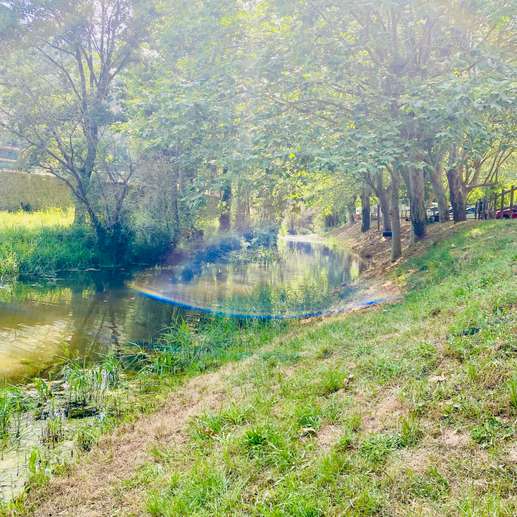 Added a photo to a location