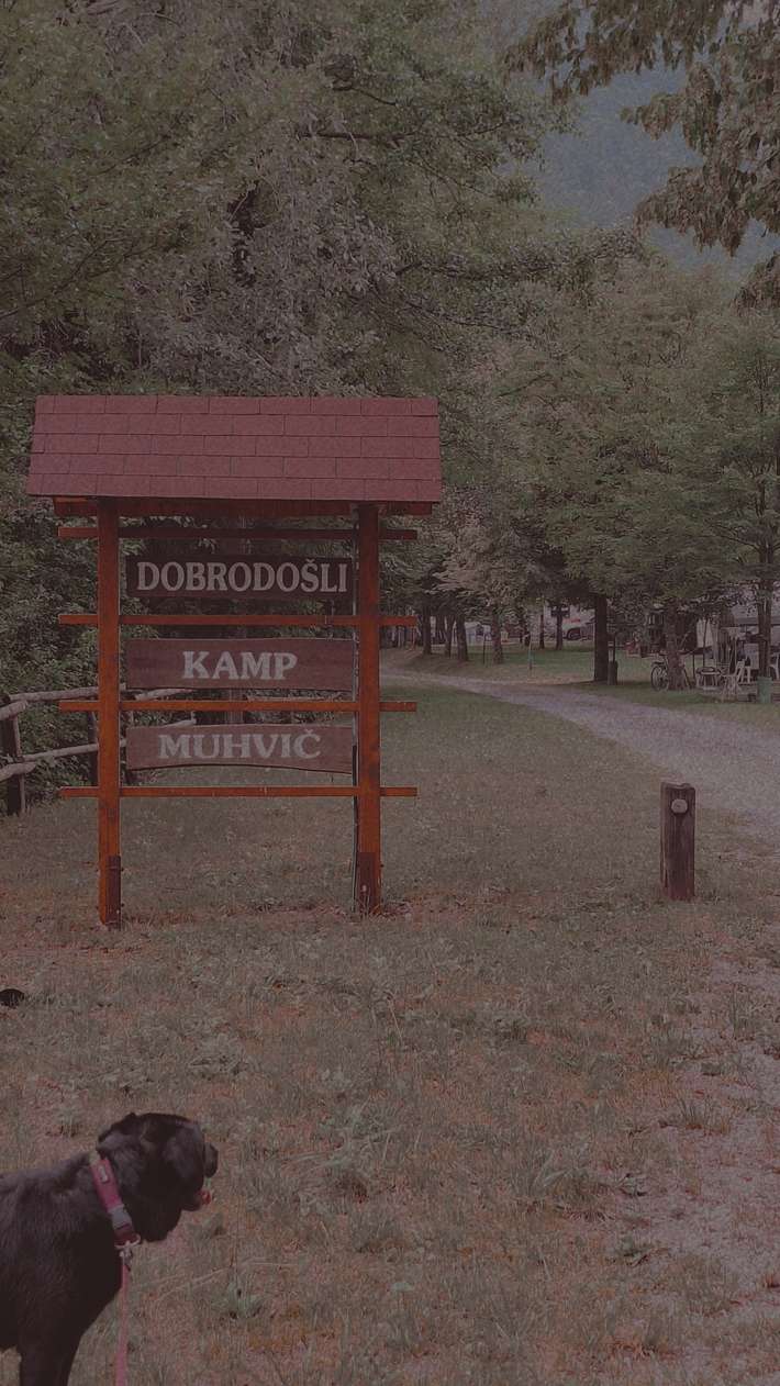 camp Muhvic