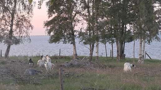 Een foto toegevoegd aan een locatie