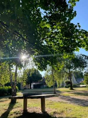 Added a photo to a location