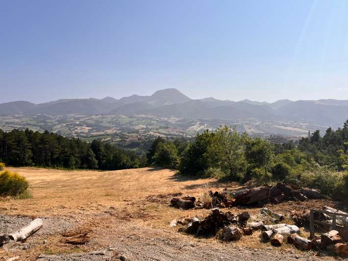 Agricamping La Pineta
