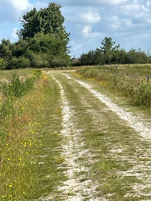 Een foto toegevoegd aan een locatie