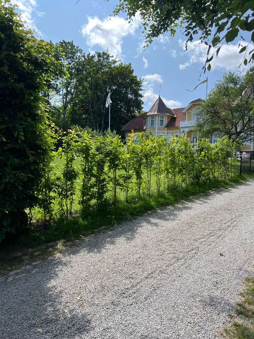 Einem Ort wurde ein Foto hinzugefügt