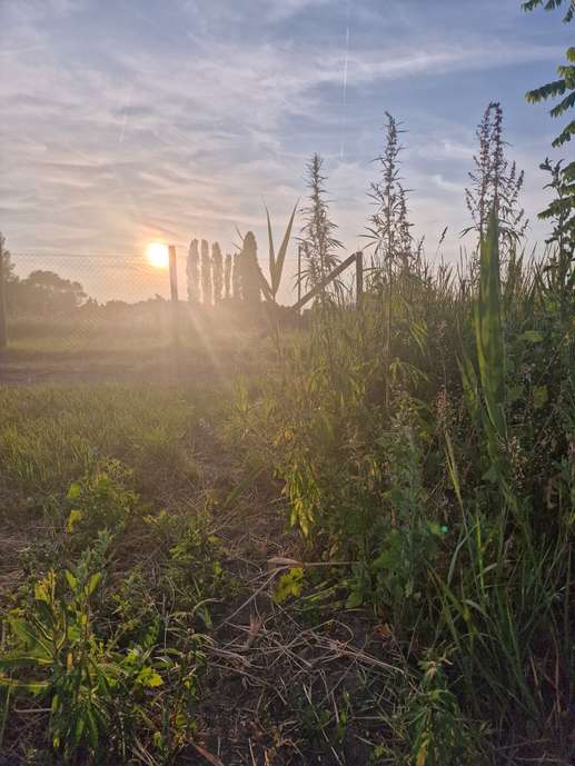 Ajout d'une photo à un emplacement