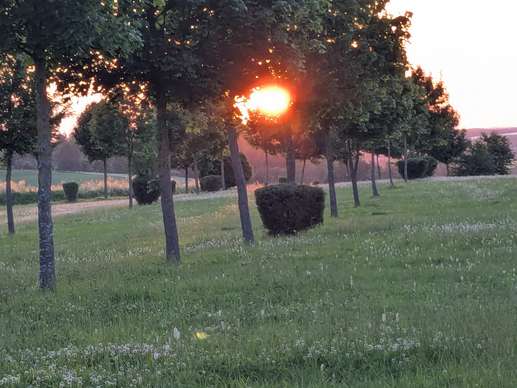 Een foto toegevoegd aan een locatie