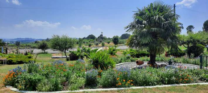 Quinta do Casarão