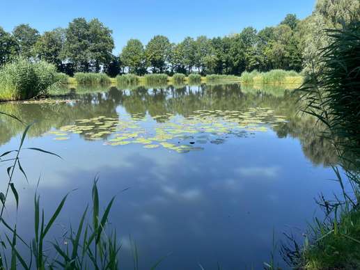 Een foto toegevoegd aan een locatie