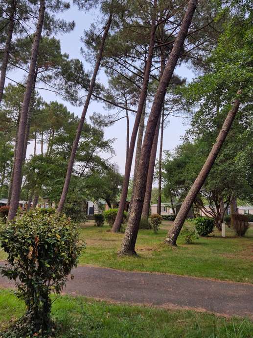 Een foto toegevoegd aan een locatie