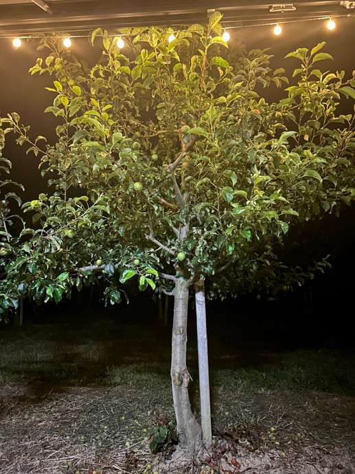 Aggiunta una foto a una posizione