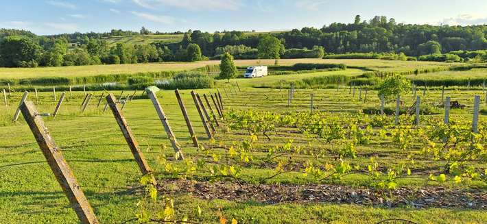 Farm Drubazas