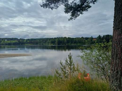 Een foto toegevoegd aan een locatie
