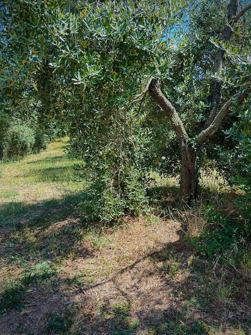Aggiunta una foto a una posizione