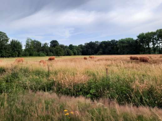 Een foto toegevoegd aan een locatie