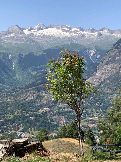 Added a photo to a location