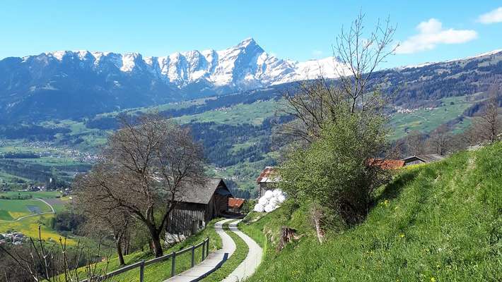 Stellplatz Sonnenhof