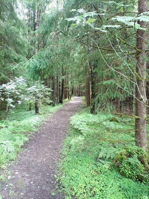 Added a photo to a location