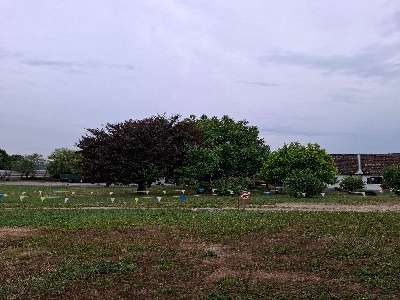 Aggiunta una foto a una posizione