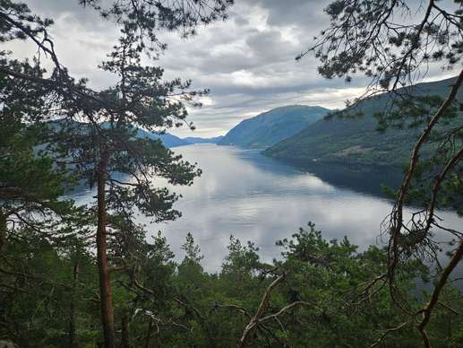 Added a photo to a location