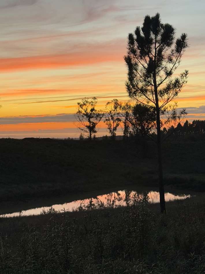 Quintinha NM