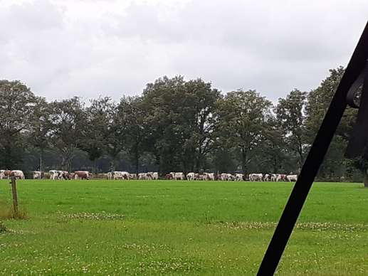 Een foto toegevoegd aan een locatie