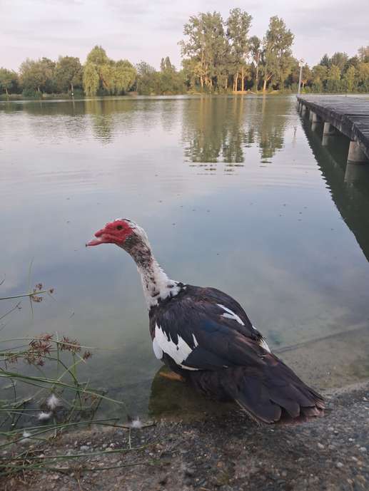 Añadió una foto a una ubicación