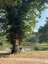 Le Domaine du Chaudeau photo 2
