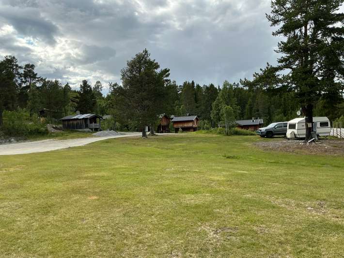 Friisvegen