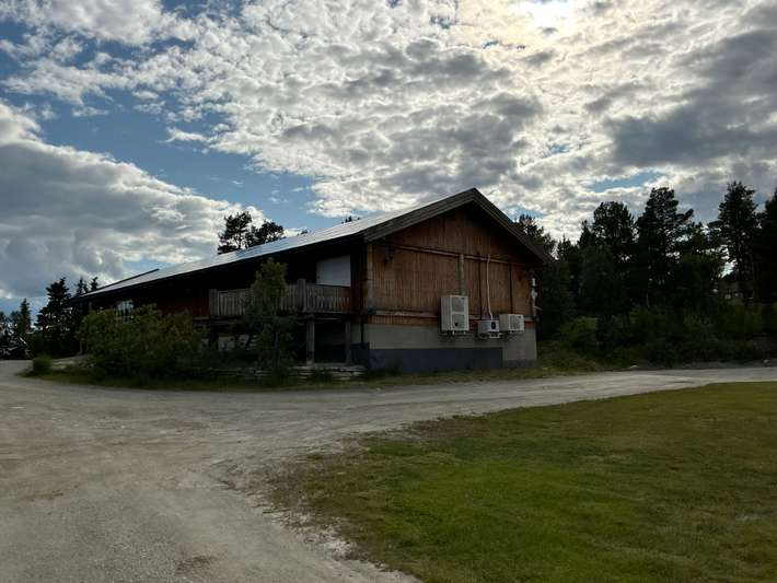 Friisvegen