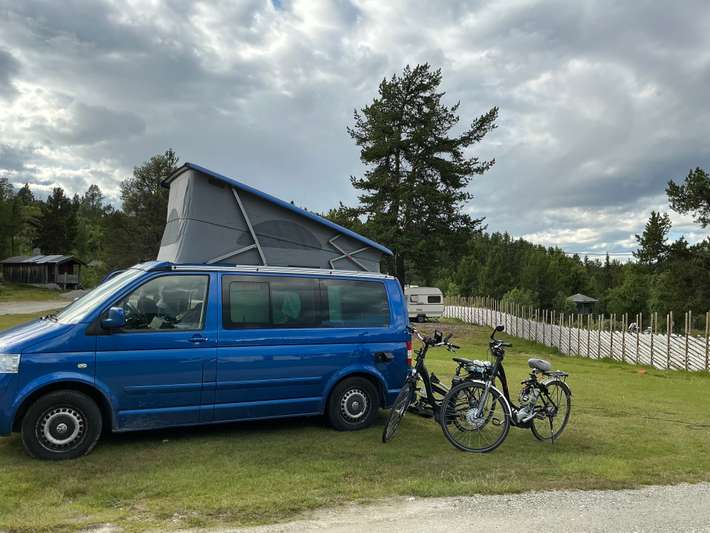 Friisvegen