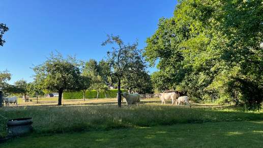 Een foto toegevoegd aan een locatie