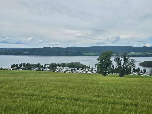 Added a photo to a location