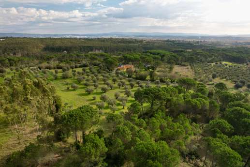 Quinta Ivonne